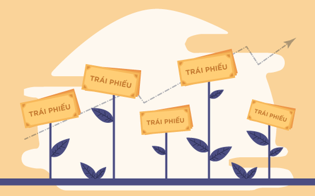 phan-loai-trai-phieu